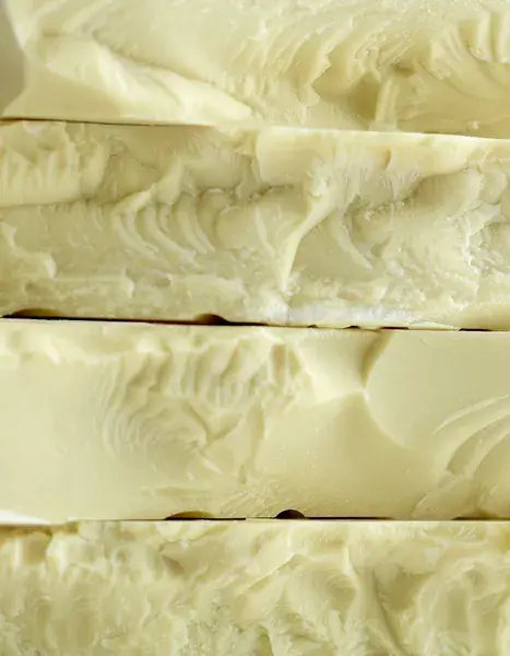 cq5dam.web.600.600 (17).webp